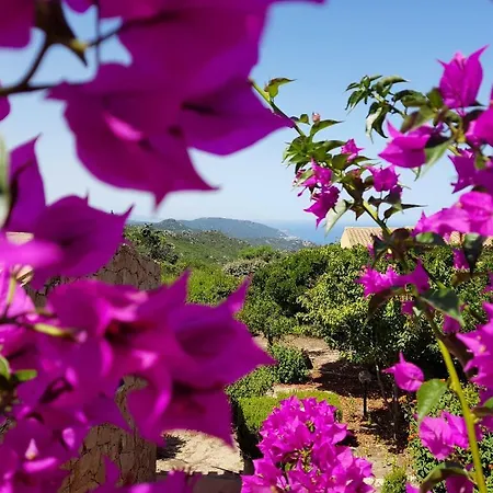 Paradiso With Private Terrace & Seaview Costa Paradiso